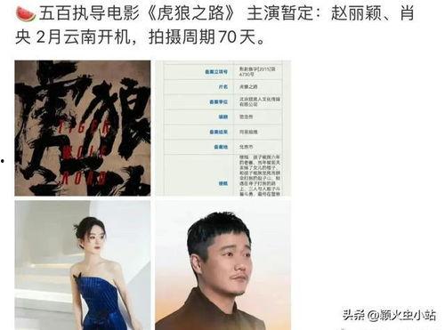 虎狼之路爆料视频在线观看,揭秘爆料视频背后的精彩瞬间  第2张